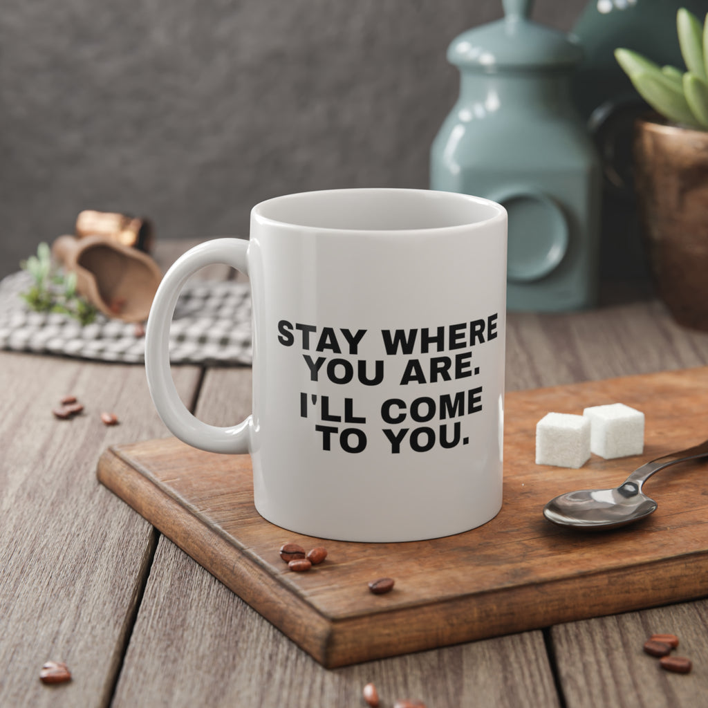 Stay Where You Are. I'll Come to You. Mug