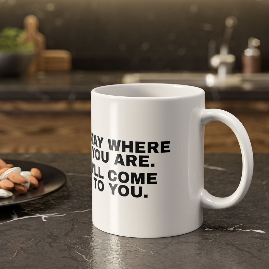 Stay Where You Are. I'll Come to You. Mug