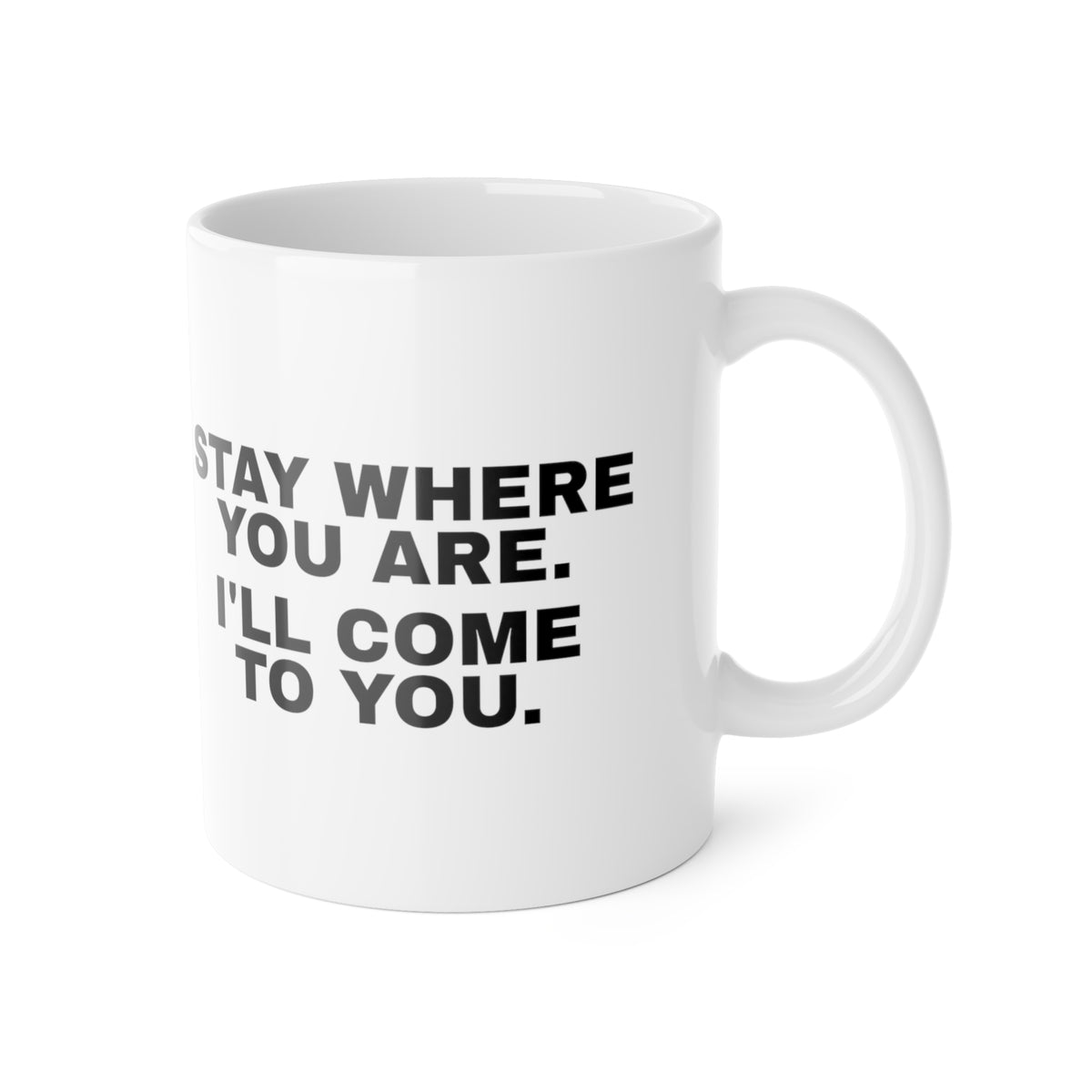 Stay Where You Are. I'll Come to You. Mug